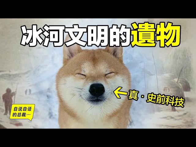 柴犬：上一波冰河文明的遺物？為什麼它是最接近狼的狗狗？為什麼會笑？為什麼反骨？以及為什麼它的meme戳中全人類的基因？原來，它身上隱藏著一個上古人類的秘密……|自說自話的總裁