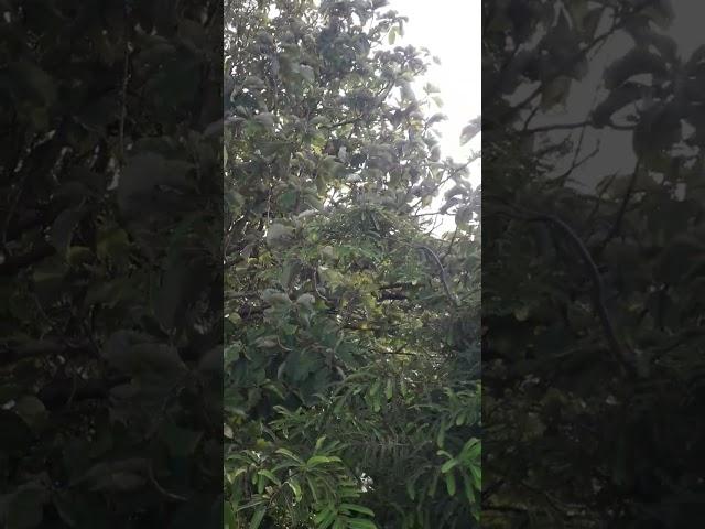 NATURE #nature