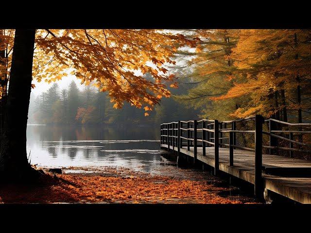 Relaxing Golden Autumn with Peaceful Soothing MusicHealing of Stress, Anxiety ~ November Autumn