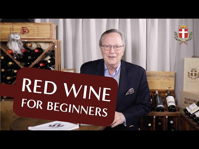 Top Red Wines for Beginners - You MUST Try These Easy-to-Drink Reds!