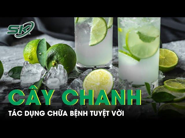 Tác Dụng Chữa Bệnh Của Cây Chanh | SKĐS