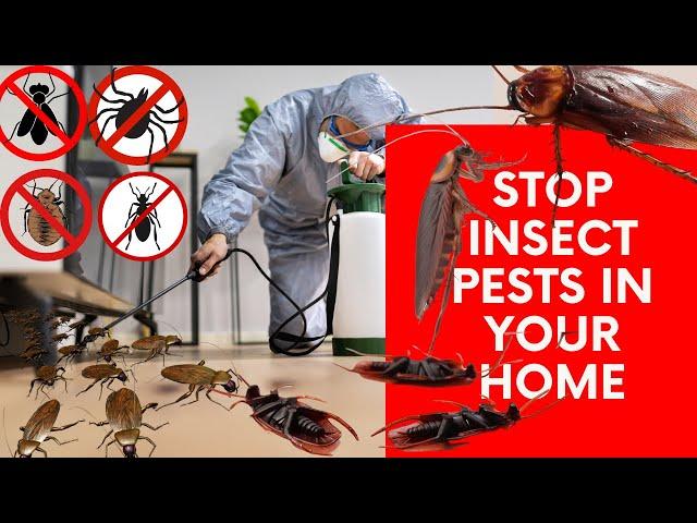 INSECT PESTS - get rid of Carpet moth & beetle, BEDBUGS, Ants, FLEAS, Cockroaches, MITES & SPIDERS