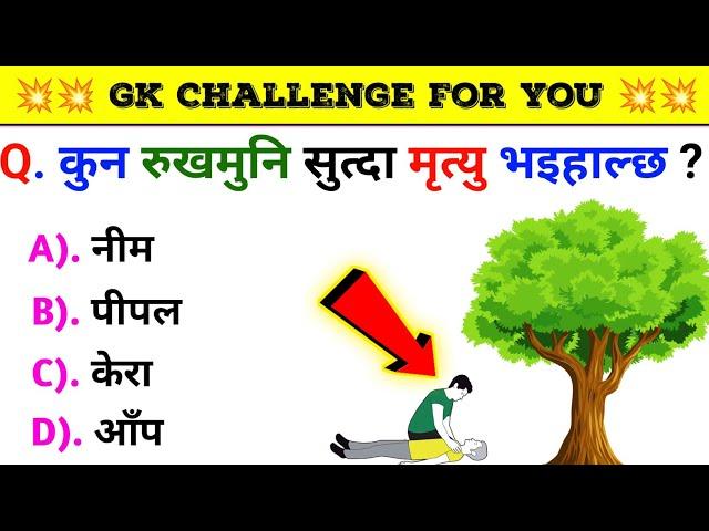 Gk Questions And Answers in Nepali।। Gk Questions।। Part 478।। Current Gk Nepal