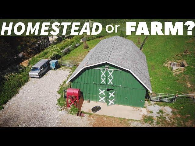 WHAT IS A HOMESTEAD? WHAT IS A FARM? WHAT'S THE DIFFERENCE? (and other questions)