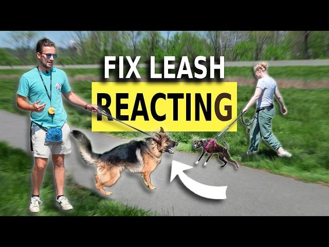 FIX Any Leash Reactive Dog