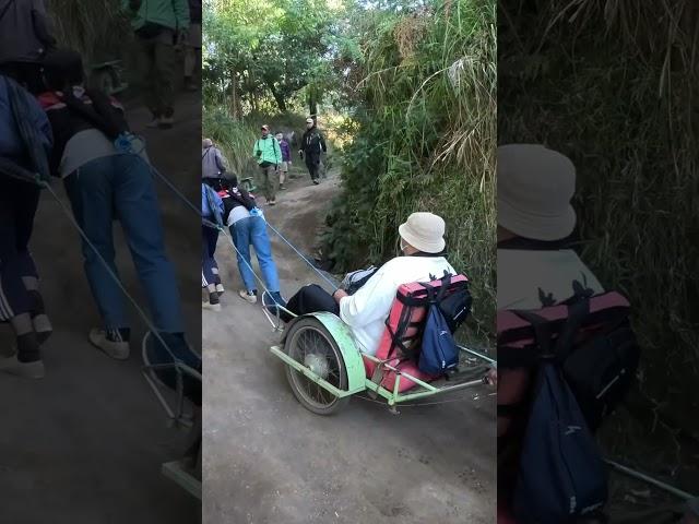 Overweight guy being carried up a volcano