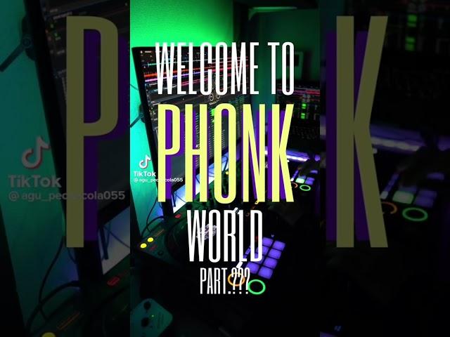 Welcome to Phonk World Part 2(ALL PARTS)