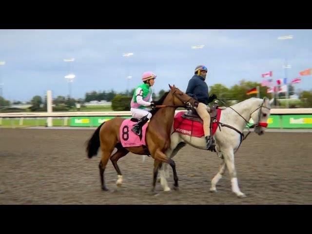 Gulfstream Park Replay Show | December 27, 2024