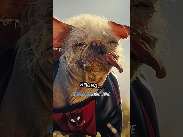 Oh Look a Strawberry!(but with Marvel Dogs) #dogpool #deadpoolandwolverinemovie #blacklightzone