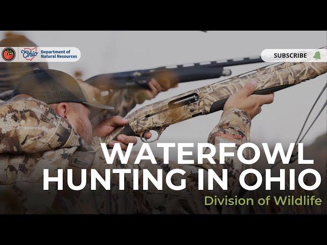 Waterfowl Hunting in Ohio