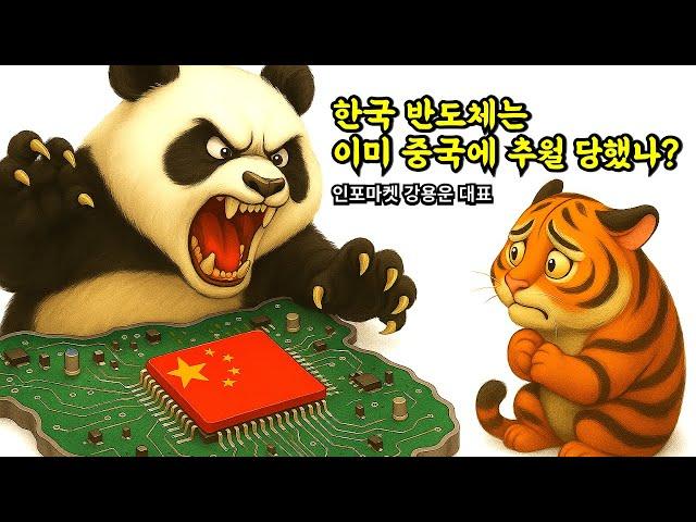 한국 반도체는 이미 중국에 추월 당했나? - 인포마켓 강용운 대표