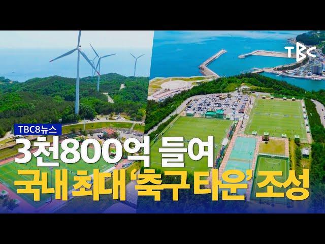 영덕, 축구 성지로 도약 230608ㅣTBC뉴스