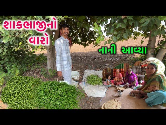 પાછા શાકભાજીમાં || નાનીમાં આવ્યા || Life at Botad village Vlogs