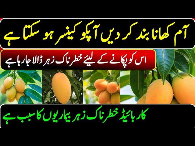 Mango Benefits | How To Cut A Mango | Calcium Carbide |@ATCOrganic