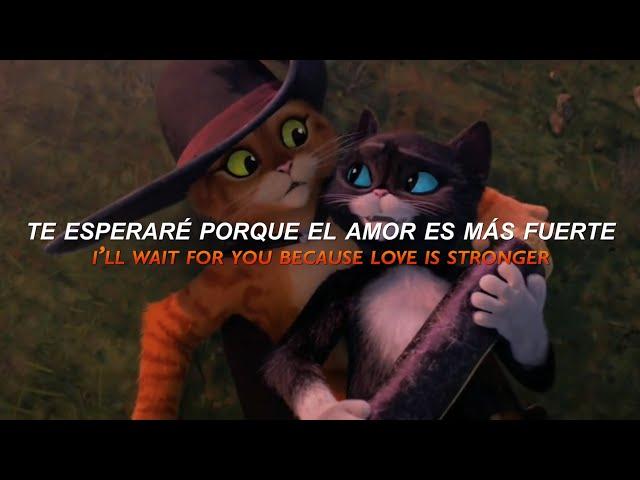 El Tiempo no puede Destruir el Amor entre Gato y Kitty / Un Año - Sebastián Yatra(SubEspañol/Lyrics)