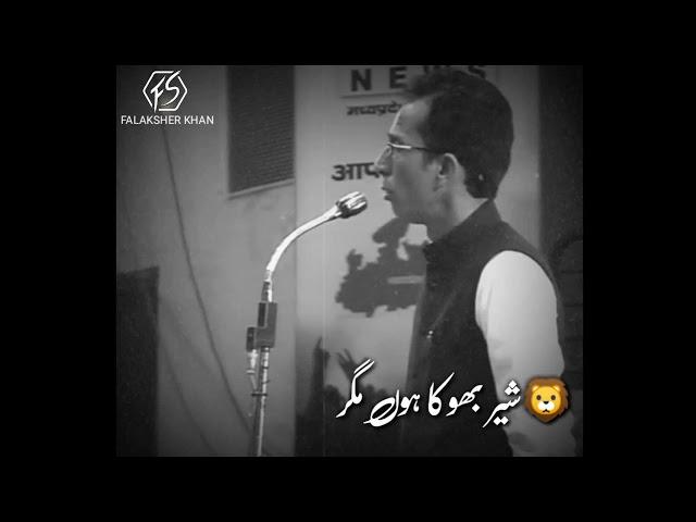 Sher bhukha hu magar ghas to khane se rha  Mehshar Afridi poetry WhatsApp status 2019