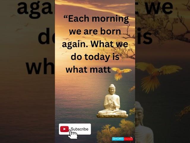 Each morning we are born again.. buddha quotes #shorts #short #ytshorts #youtubeshorts #shortcourses