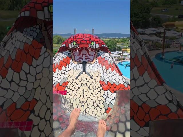 King Cobra Water Slide at Aquapark Nessebar 