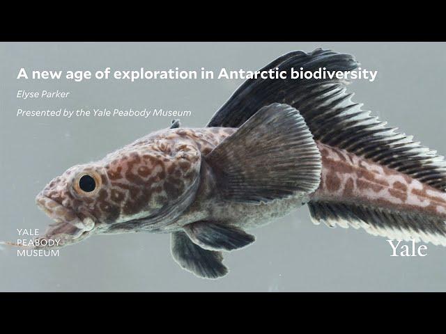 A New Age of Exploration in Antarctic Biodiversity