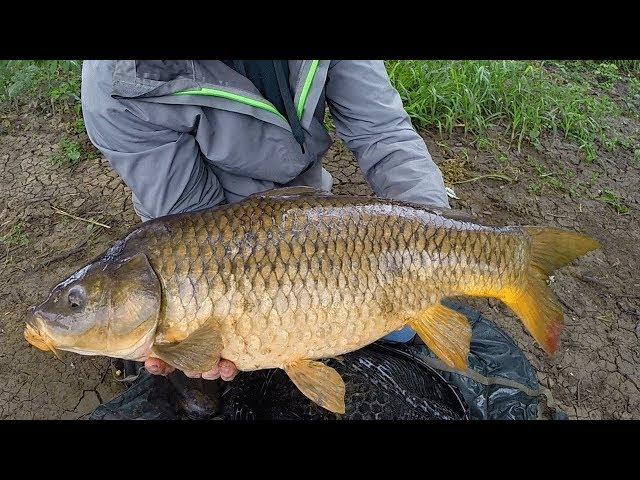 Carp Fishing in Rivers - How to Catch Carp in Rivers - River Fishing for Carp