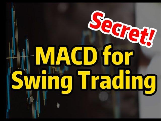 A Secret Advanced Trading Strategy for MACD | How is MACD used in swing trading | MACD + PriceAction