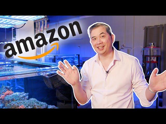 What did I buy? | Tidal Gardens Amazon Shopping List