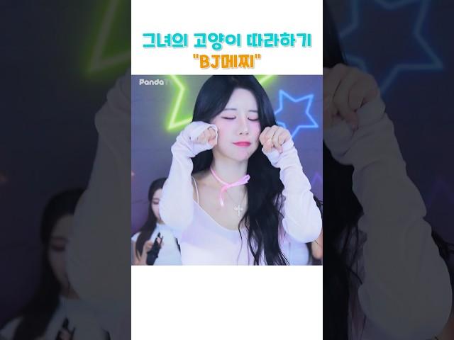 그녀의 고양이 흉내내기