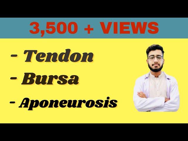 Tendon , Aponeurosis  , Bursa in Detail. @DoctorAbdulQadeerPT
