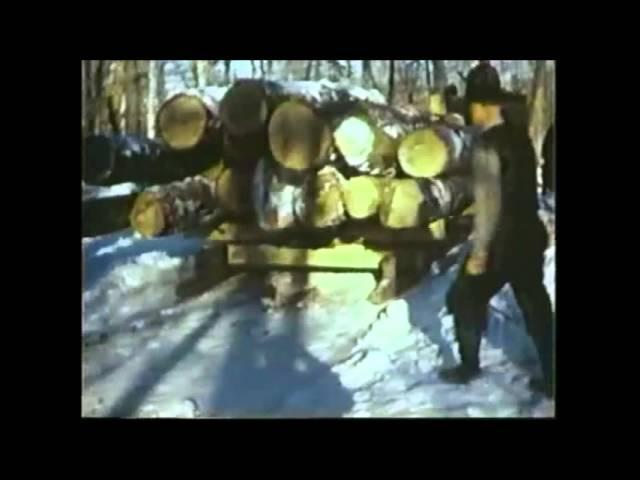 Sawdust