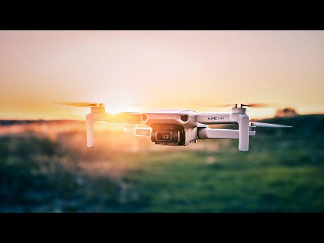 DJI Mavic Mini Review | Best Beginner Drone with a Catch