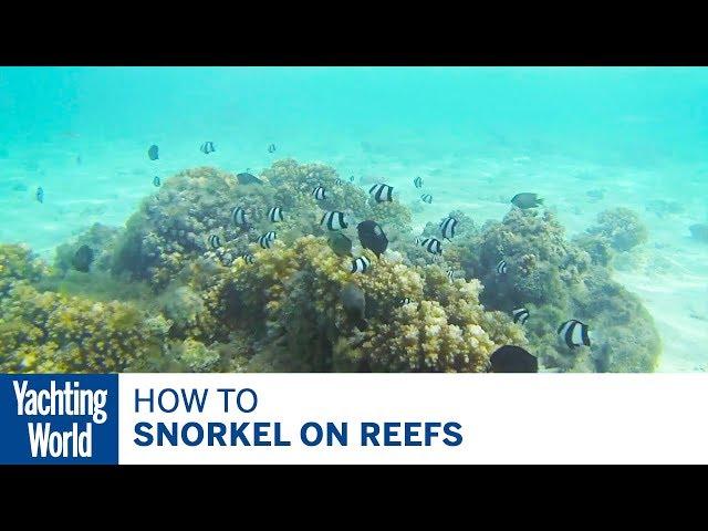 How to snorkel on reefs - Yachting World Bluewater Sailing Series | Yachting World