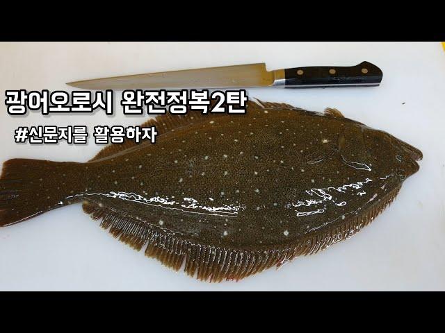 광어회뜨기_광어오로시 누구나 할수있습니다_How to fillet a fish [halibut] ヒラメ