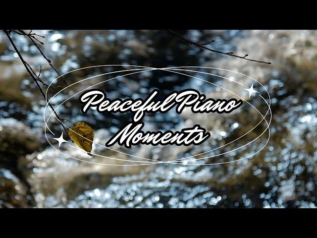 Peaceful Piano Moments (relaxing music) | R-Studio - White Screen