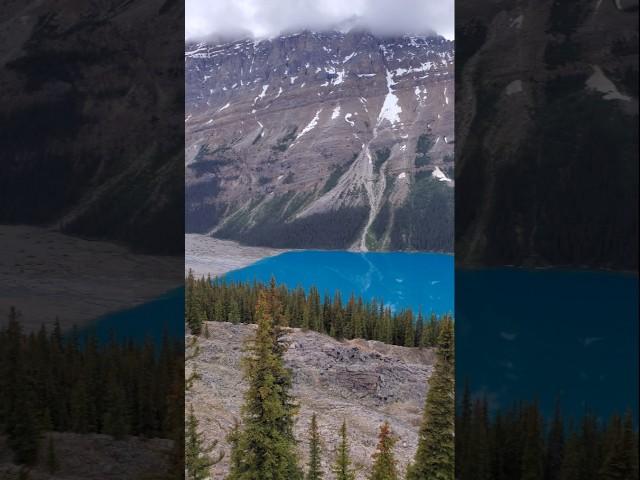 Incredibly blue water, Peyto Lake #amazing #wonderful #nature