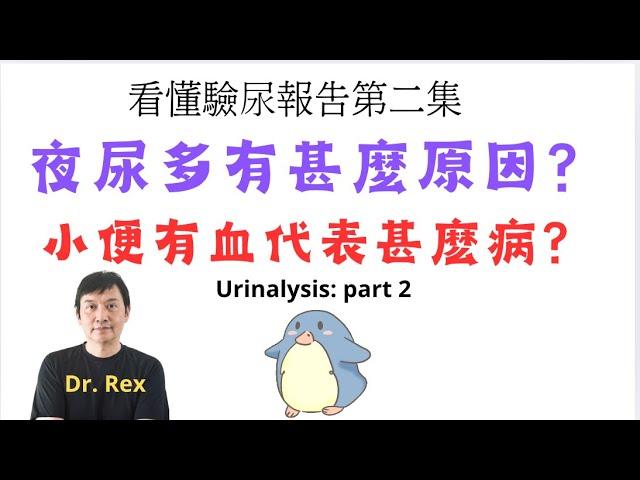 看懂驗尿報告第二集，夜尿多是什麼原因？小便有血很危險？ urinalysis made simple part 2