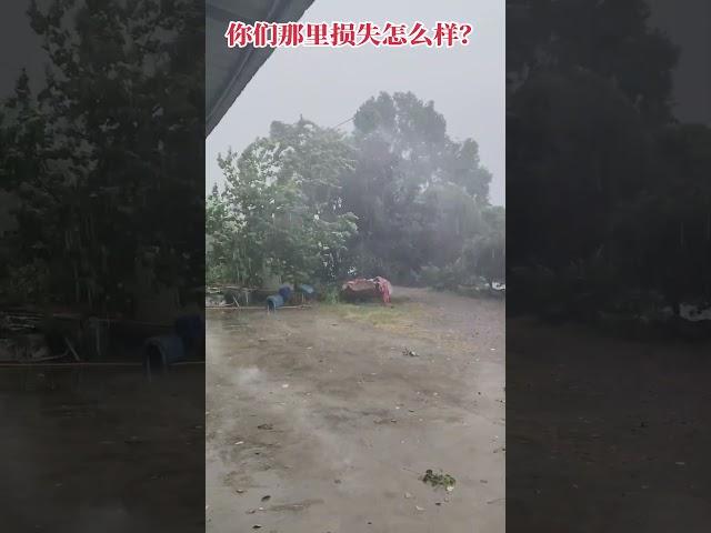 感谢大家对“漳河绿耕淳杨梅”的支持！这次海军锅只损失了几千米！#农村生活 #农村 #情感 #社会百态 #搞笑视频