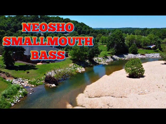 Creek Fishing for Arkansas Smallmouth Bass