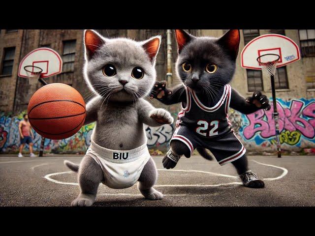 Kitten Fight for Friend’s Dream | Street Basketball King #aicatstory #cat #catlover #cutecat