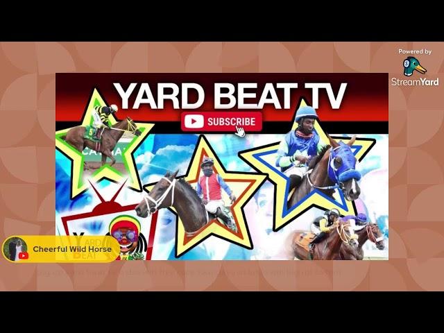 RACE DAY PREVIEW Saturday Oct.12. 2024 | YARD BEAT T.V.