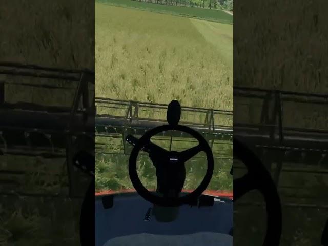 Harvesting Field Grass | Hay Bi-product | Neu Minibrunn | Time Lapse Series | Farming Simulator 22