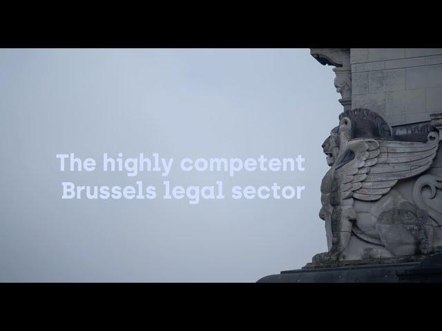 The Brussels legal sector