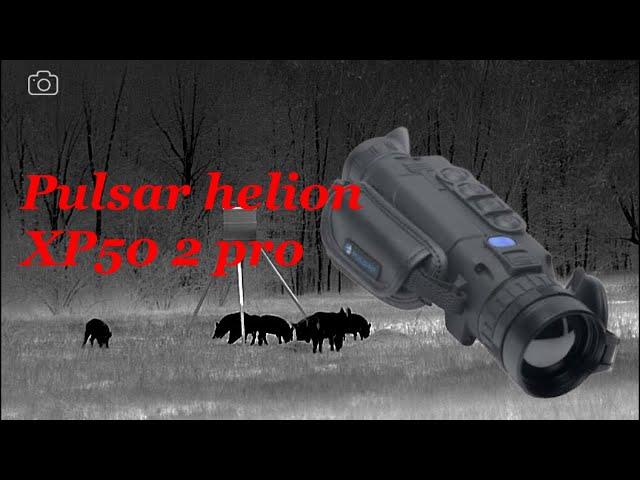 Pulsar helion 2 XP50 pro review