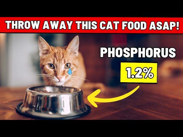 Spot Good Cat Food vs. Bad IN JUST 5 SECONDS! (Your Cat Will Thank You For This!)