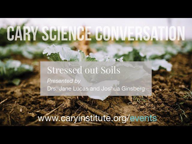 Stressed out Soils: A Conversation with Jane Lucas