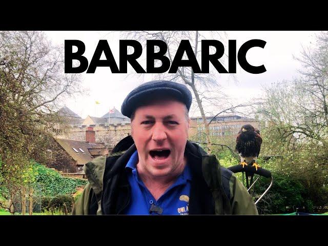 This is Barbaric! This complaint is so ridiculous I had to share it with you | Bird of prey display