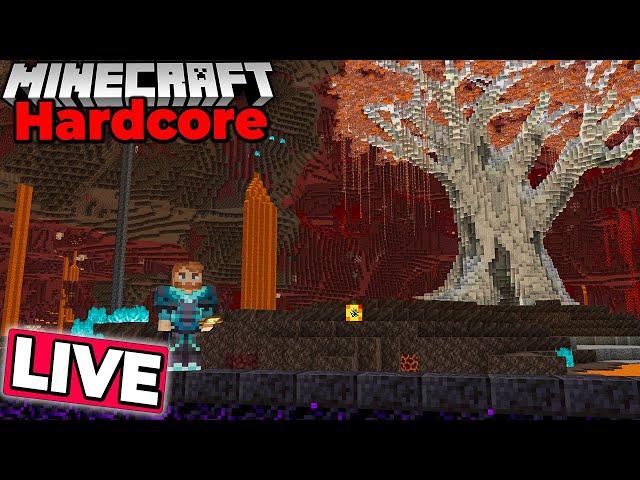 Survival Grind for a new project in my Hardcore Minecraft Survival World