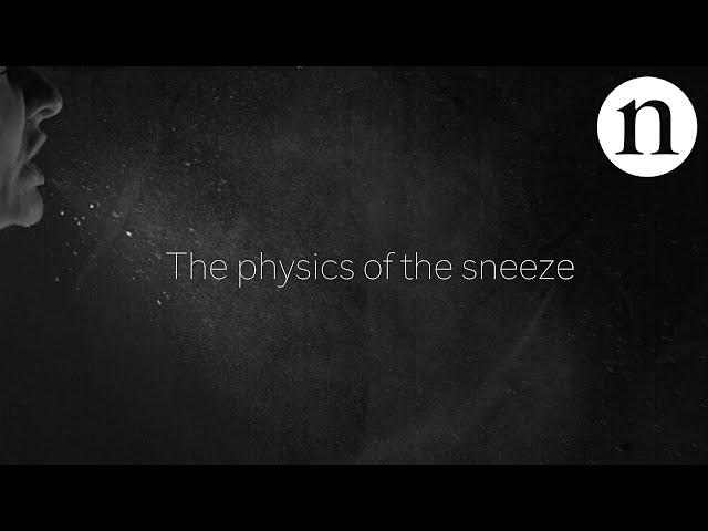 The physics of the sneeze