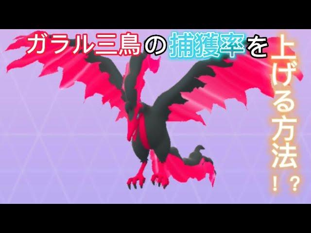 ガラル三鳥の捕獲率が上がる方法、本当なのか検証してみた！