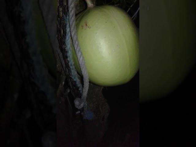.........(2)