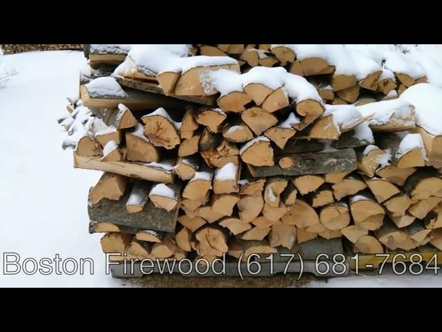 Boston University Firewood